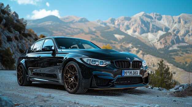 Практическое использование и обслуживание BMW 3 2016