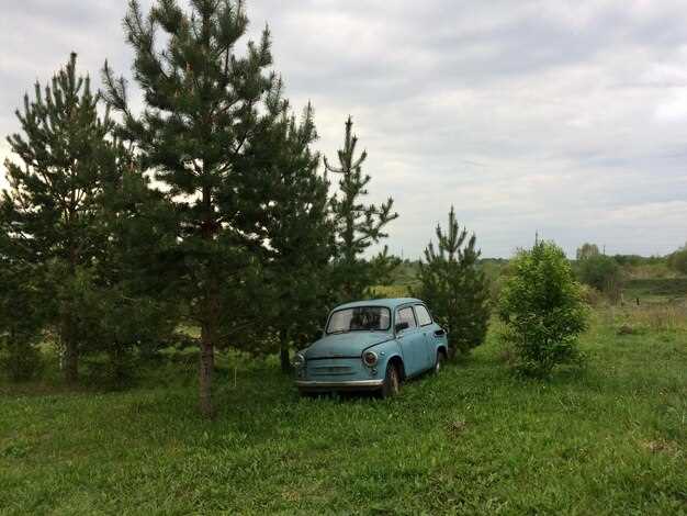 Где купить оригинальные запчасти для Лады Приоры?