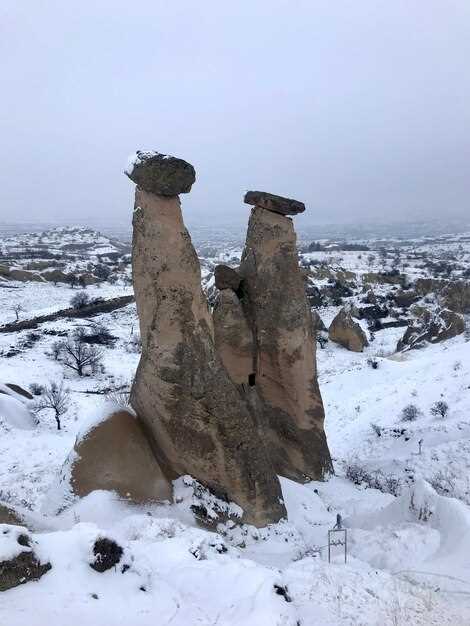 Обзор характеристик и отличий моделей