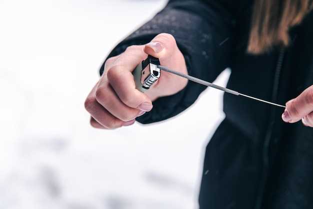 Обзор популярных брендов дворников для Весты