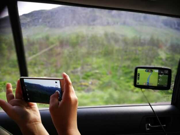 Камера заднего вида для Нива Шевроле – штатные решения и установка