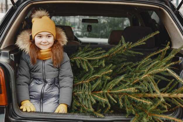 Причины холодного воздуха из печки