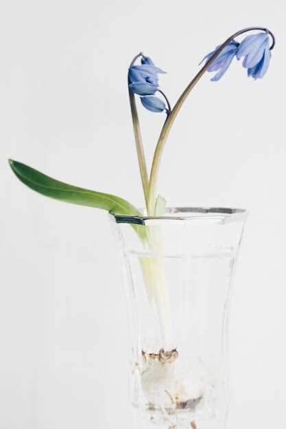 Советы по подбору оттенка по фотографии или образцу