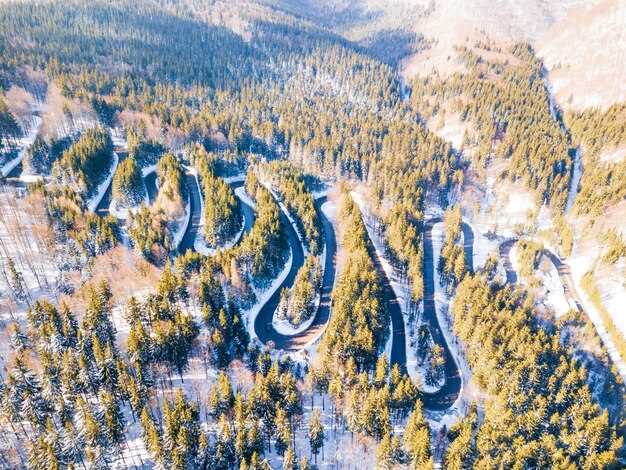 Выбор автомобиля для региона с суровыми зимами и сложными дорожными условиями