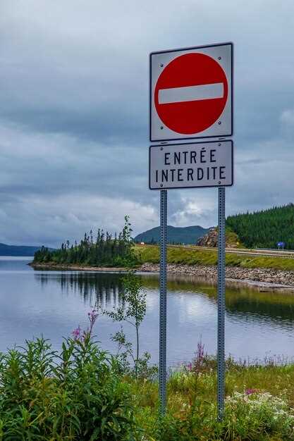 Профессиональное обслуживание и диагностика в сервисе