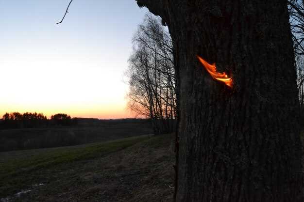 Плохой свет на Ниссан АД