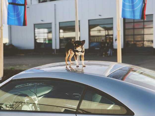 Правильное подключение диагностического сканера