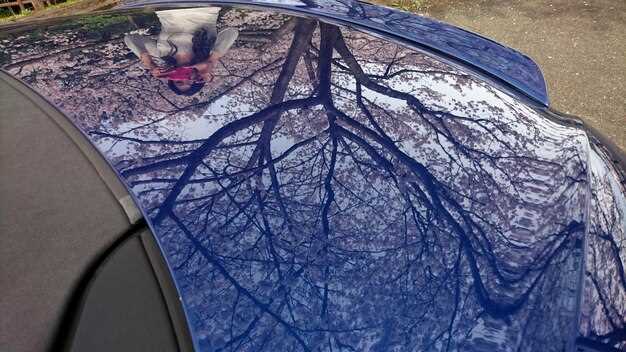 Ремонт кузова и защита от коррозии