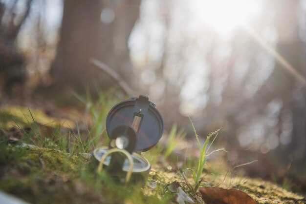 Проверка и корректировка установки